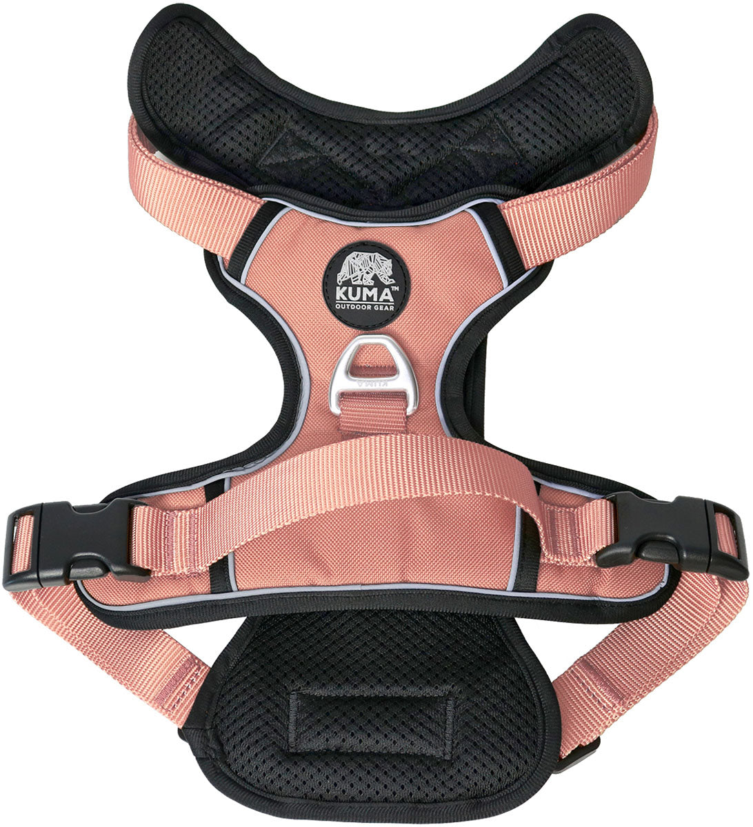 Lazy Bear Dog Harness