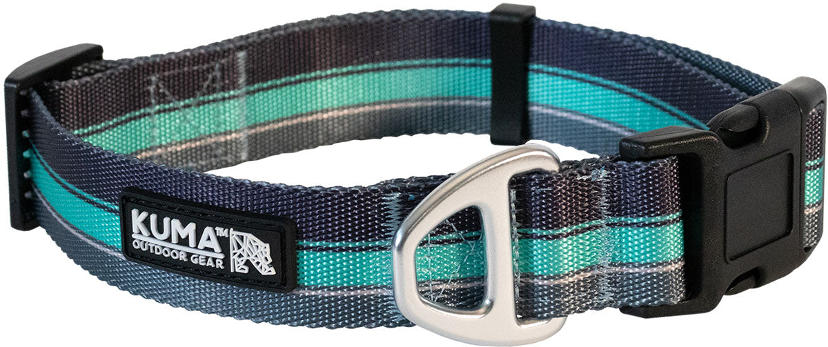 Backtrack Dog Collar