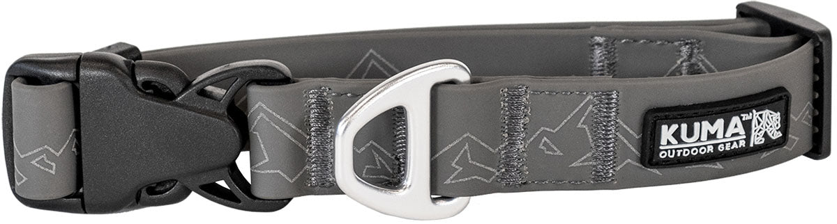 Soggy Dog Collar