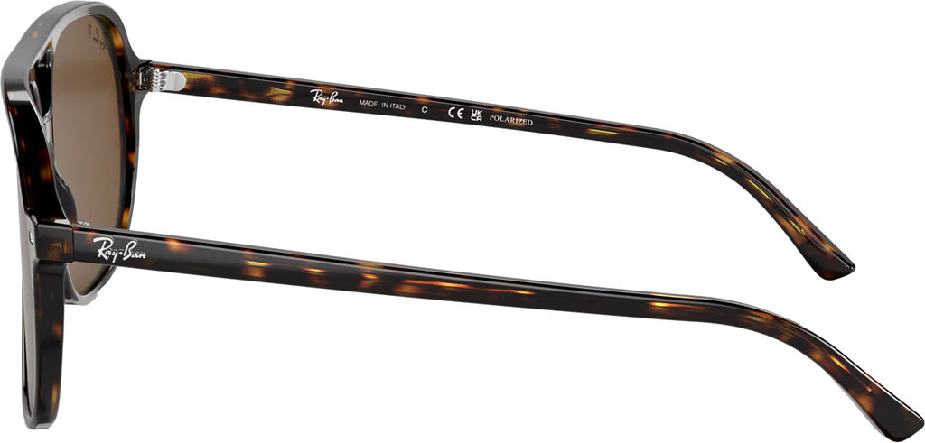 Bill Polarized Sunglasses
