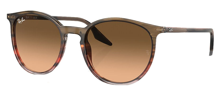 RB2204 Sunglasses