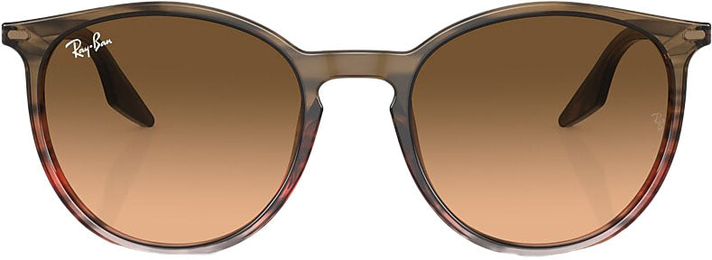 RB2204 Sunglasses