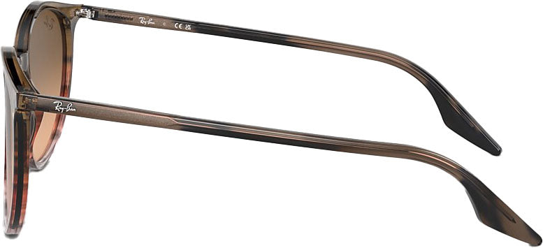 RB2204 Sunglasses