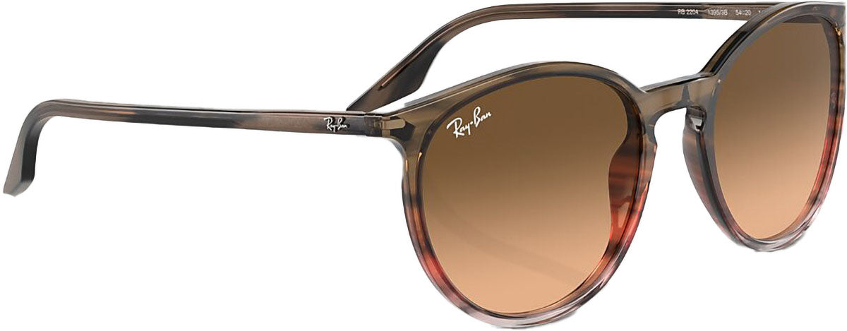 RB2204 Sunglasses