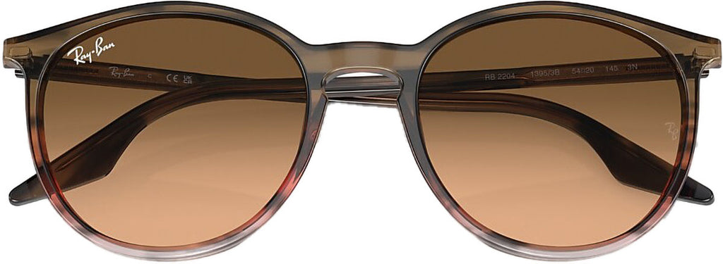 RB2204 Sunglasses