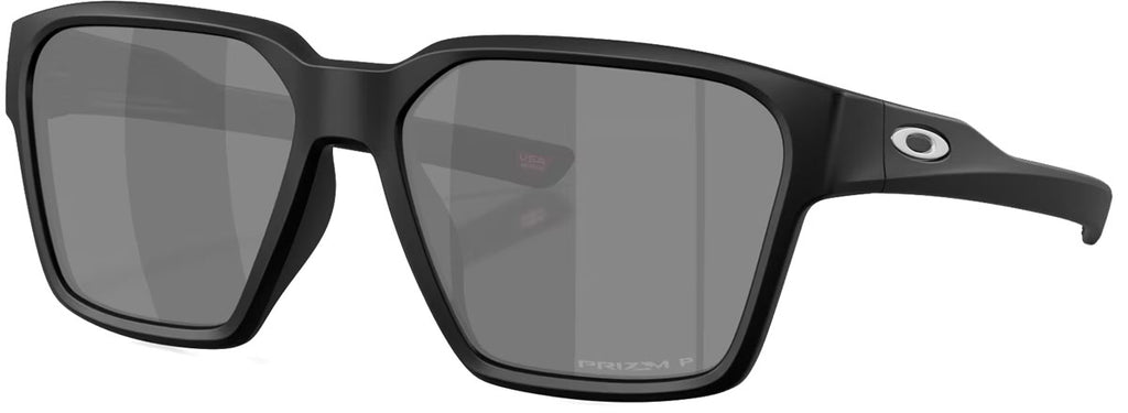 Briza Prizm Polarized Sunglasses