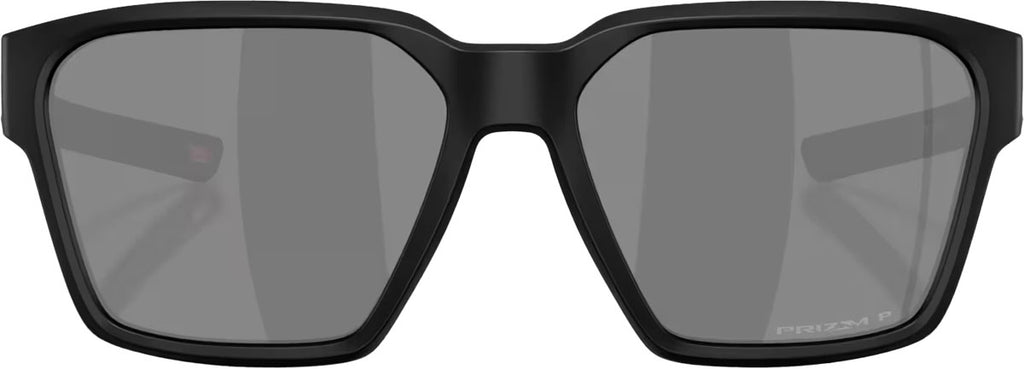 Briza Prizm Polarized Sunglasses
