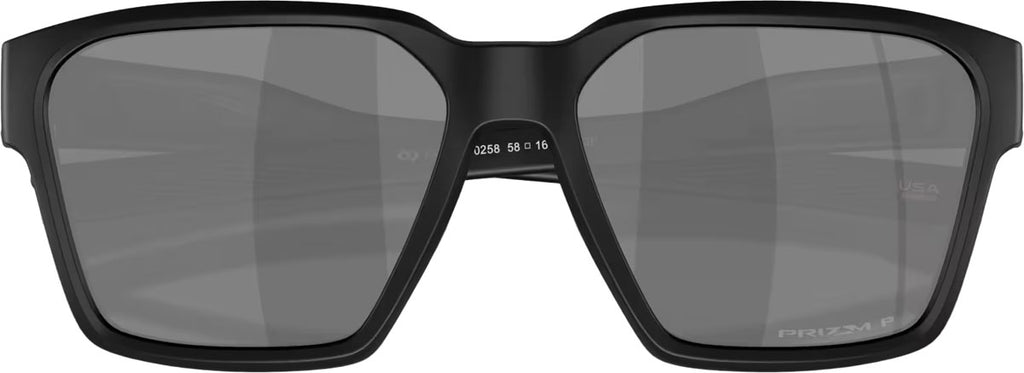 Briza Prizm Polarized Sunglasses