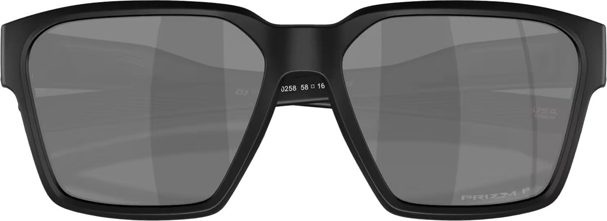 Briza Prizm Polarized Sunglasses
