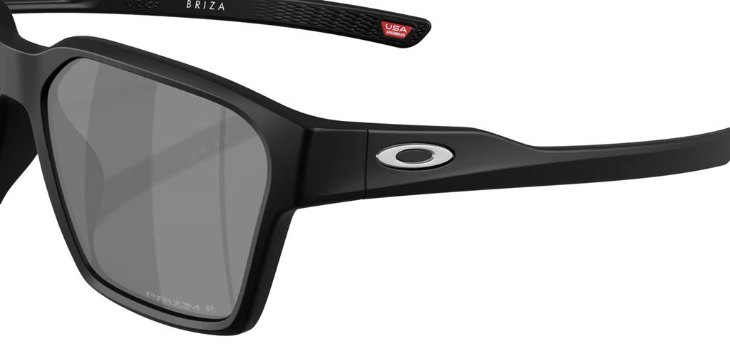Briza Prizm Polarized Sunglasses