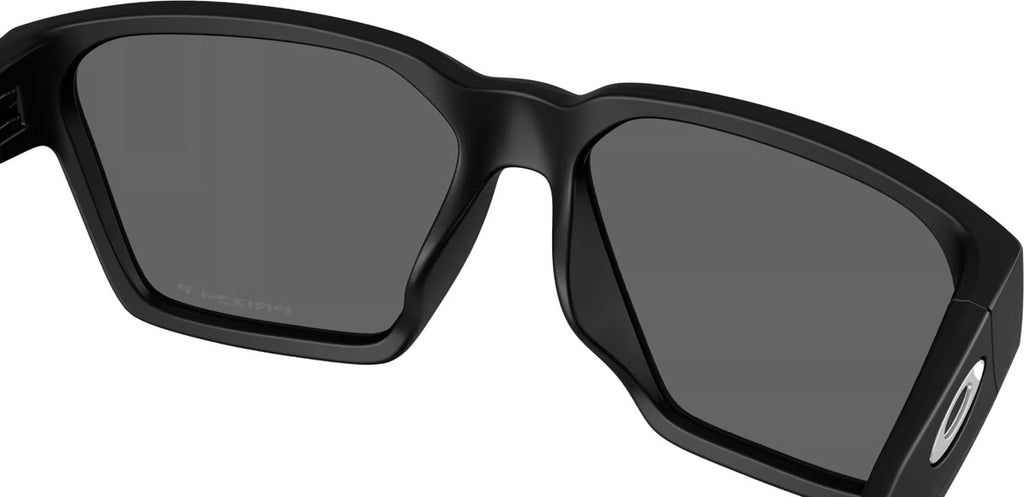 Briza Prizm Polarized Sunglasses