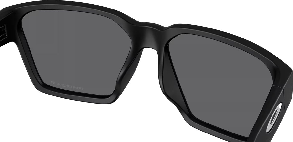 Briza Prizm Polarized Sunglasses