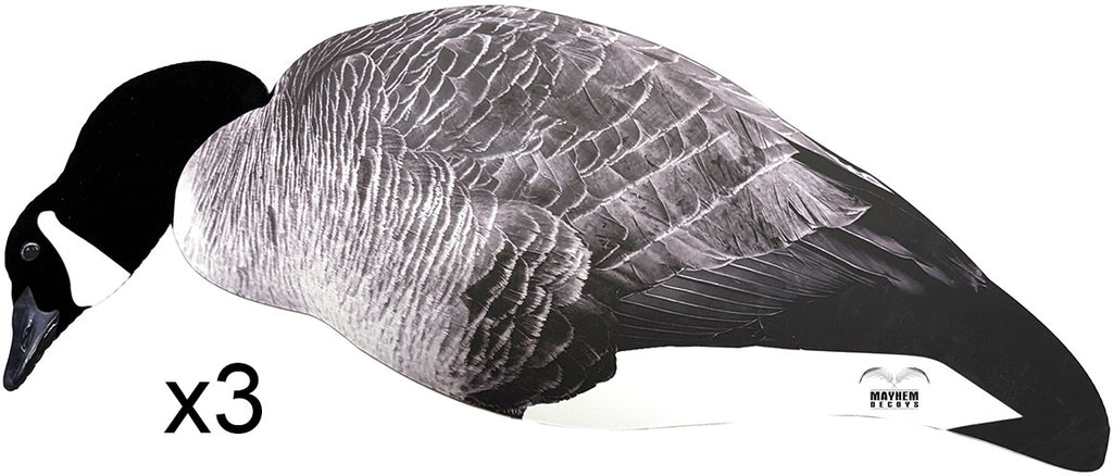 Canada Goose Silhouette Decoy Set - 12/PK