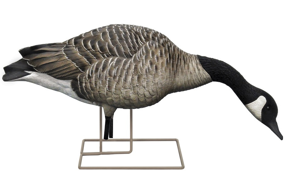 Painted Feeder Canada Goose Decoys - 6 Pack