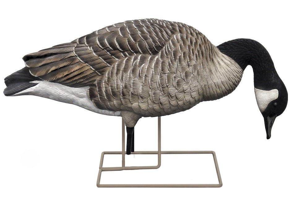 Painted Feeder Canada Goose Decoys - 6 Pack