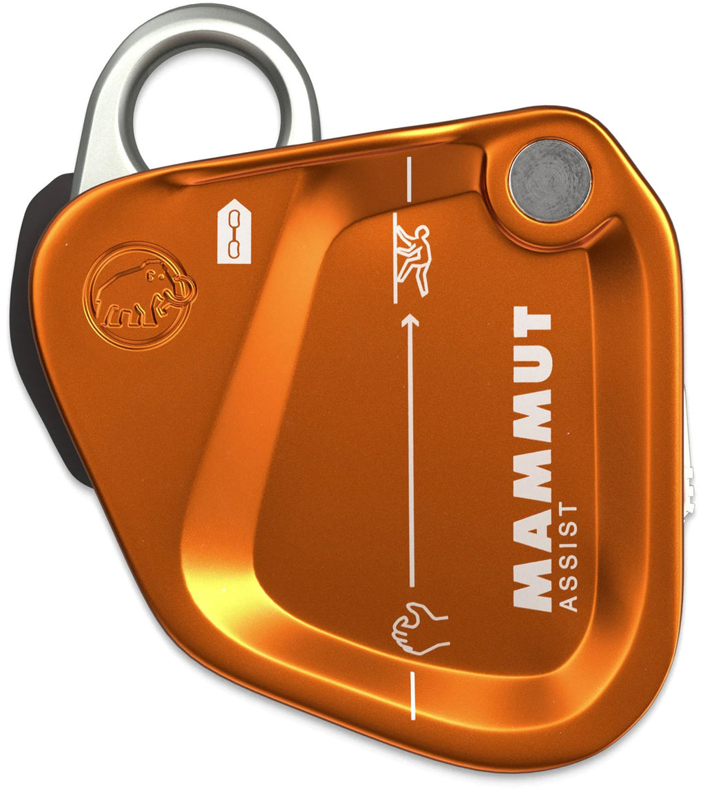 Assist Belay Device