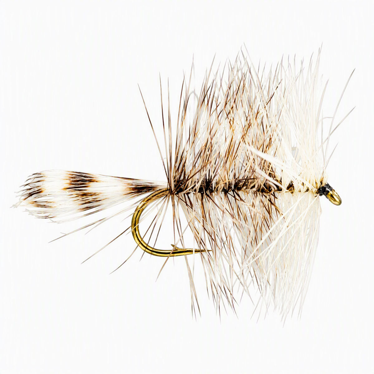 Grizzly Bivisible Dry Fly