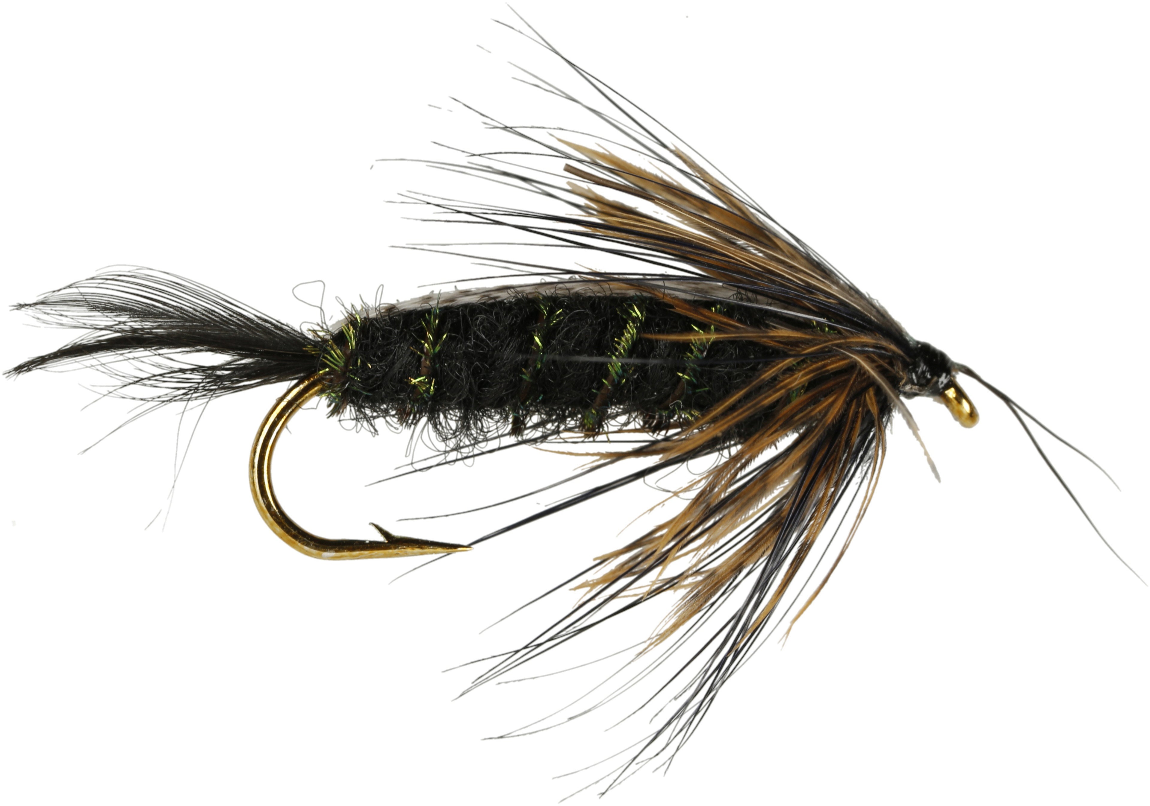 13-A Fly