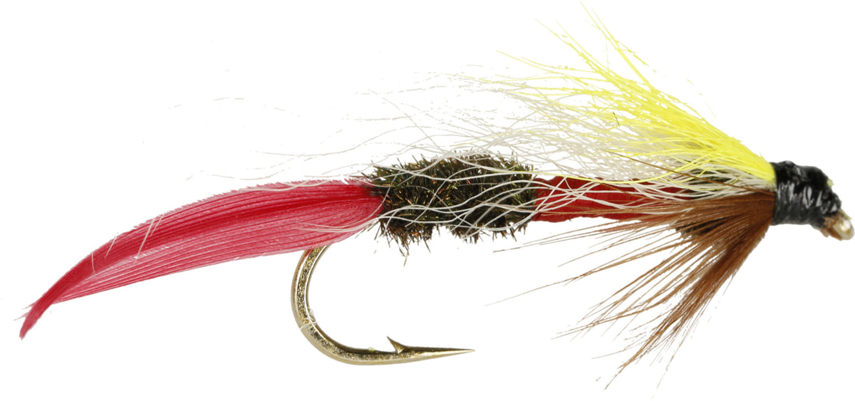 Royal Coachman Fly