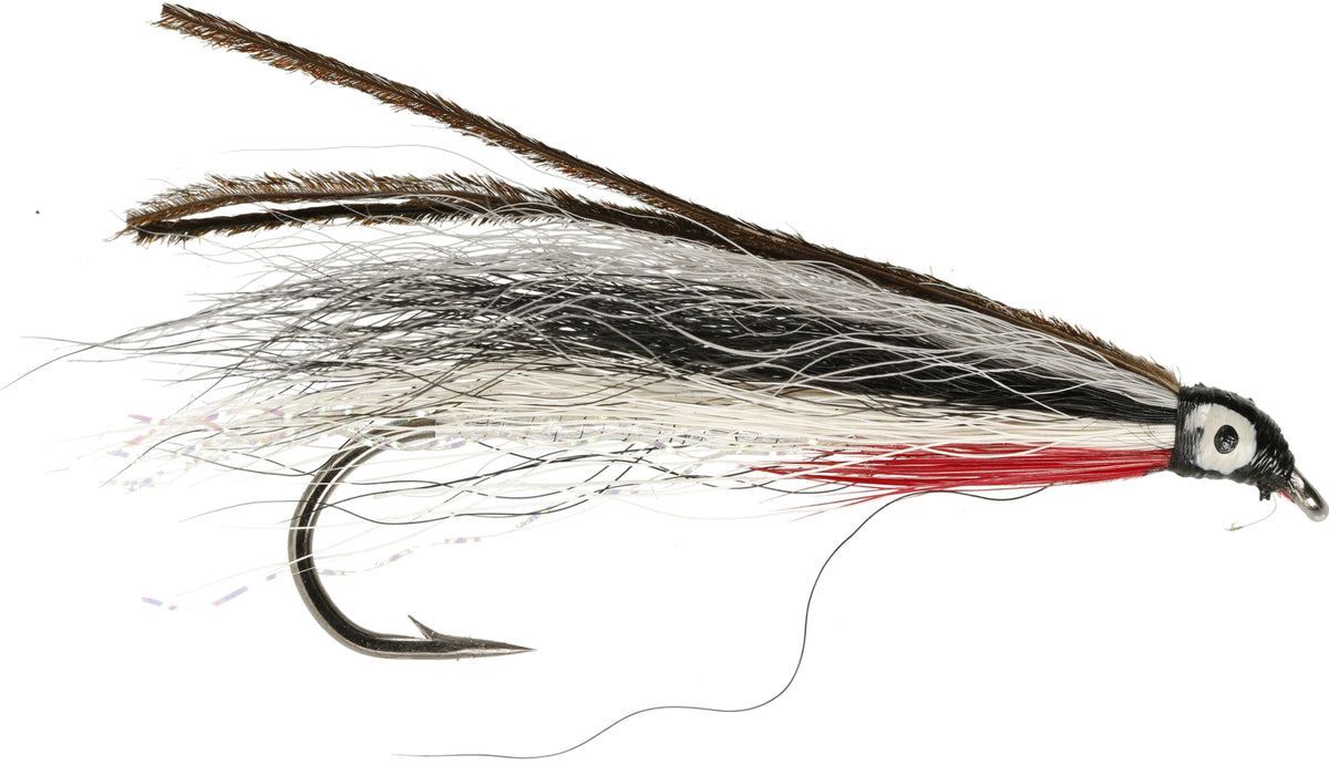 Shinner Fly