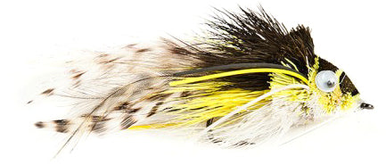 Swimming Frog Fly - H6