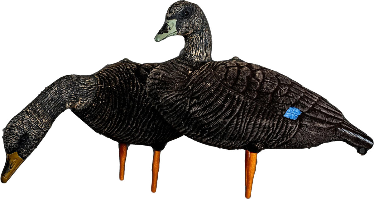 Black Duck Decoy - 6/PK