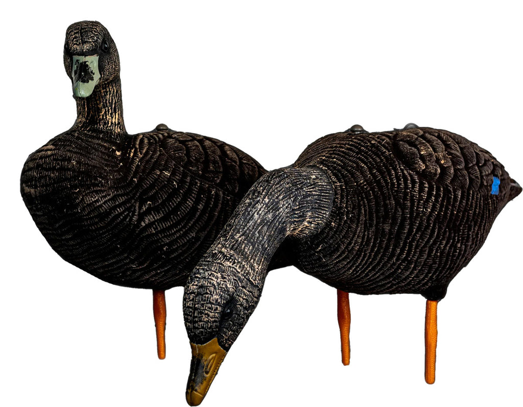Black Duck Decoy - 6/PK