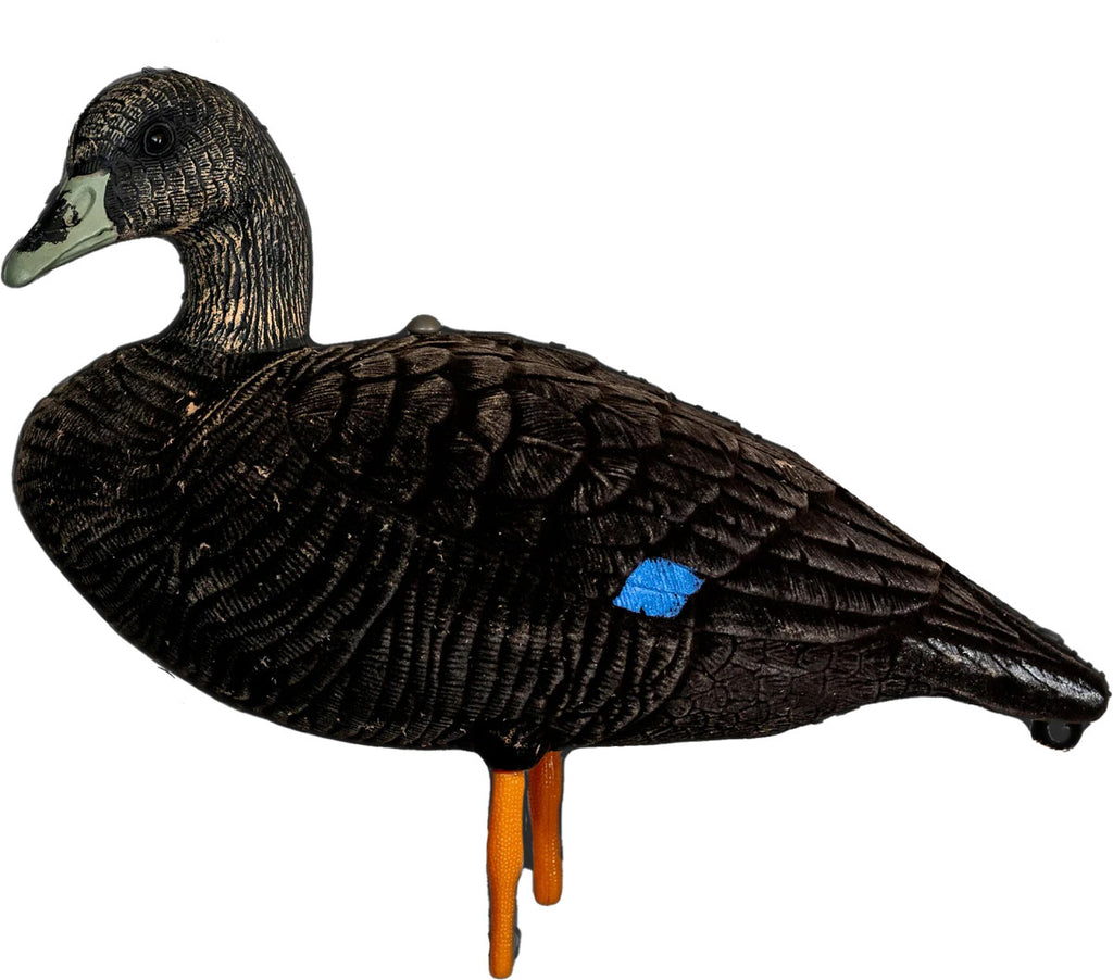 Black Duck Decoy - 6/PK