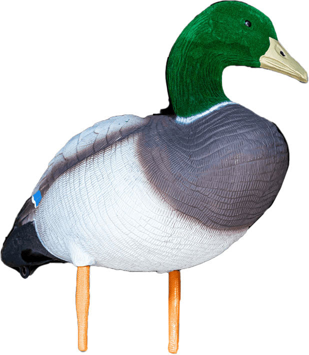 Mallard Duck Decoys - 12/PK