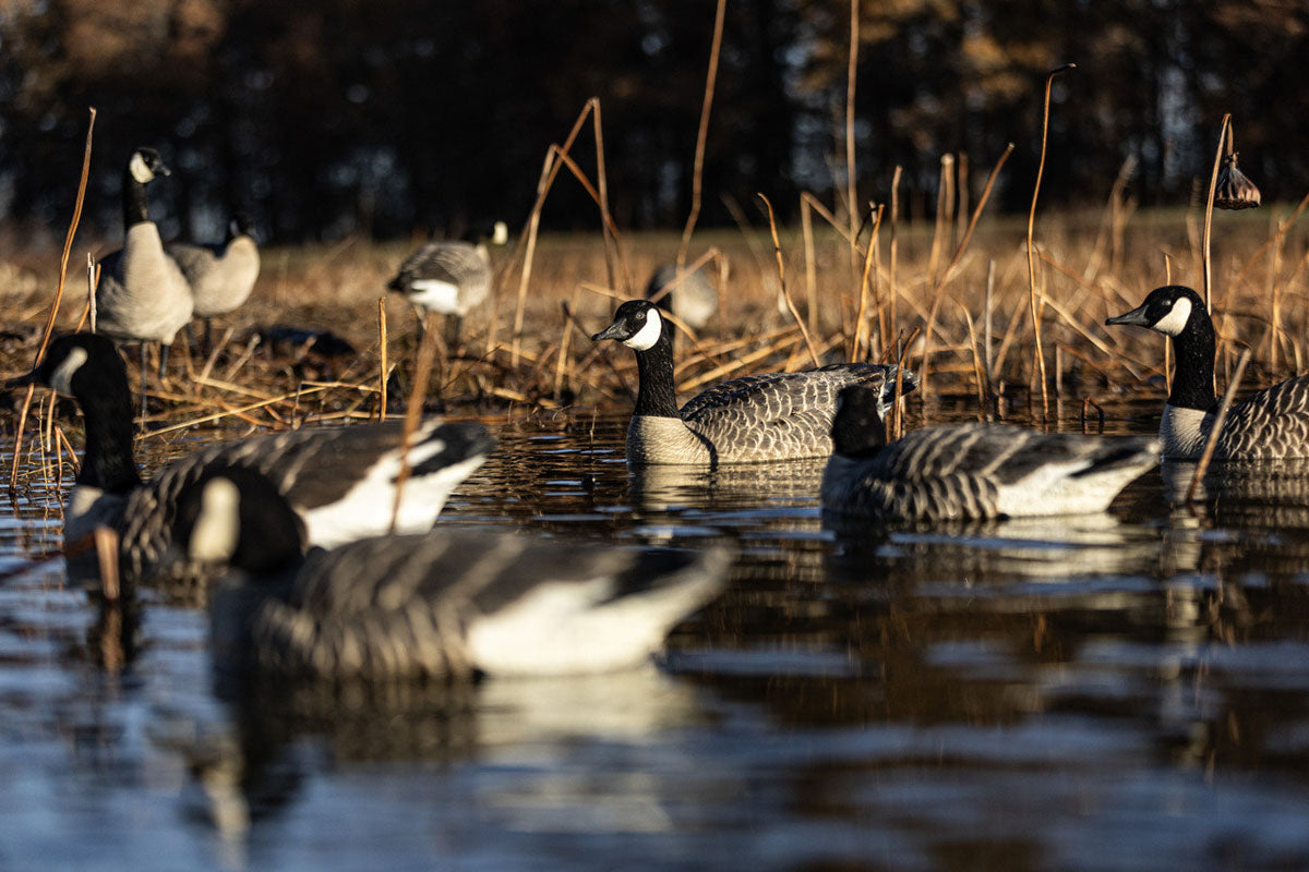 Topflight Honkers Waterfowl Decoys