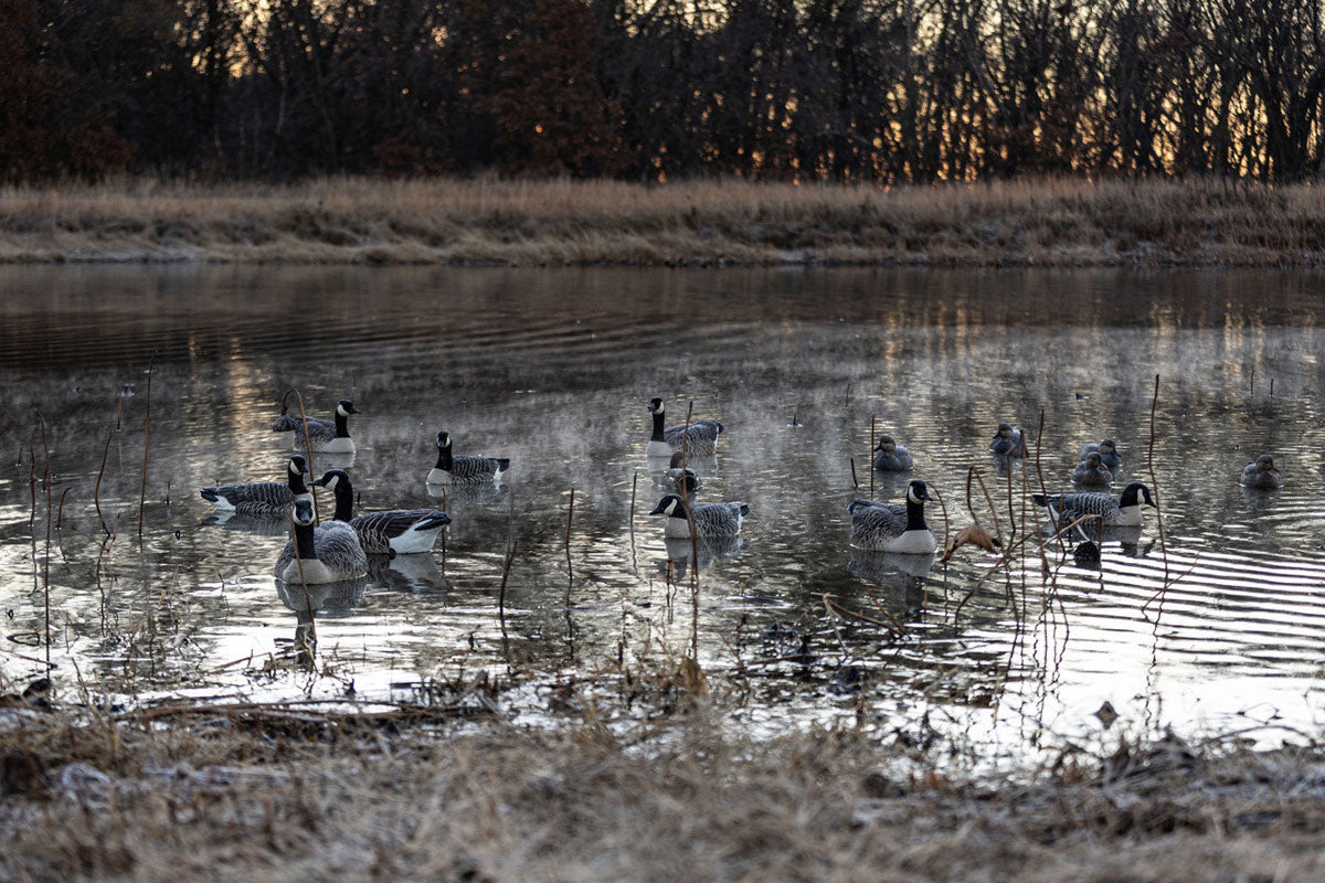 Topflight Honkers Waterfowl Decoys