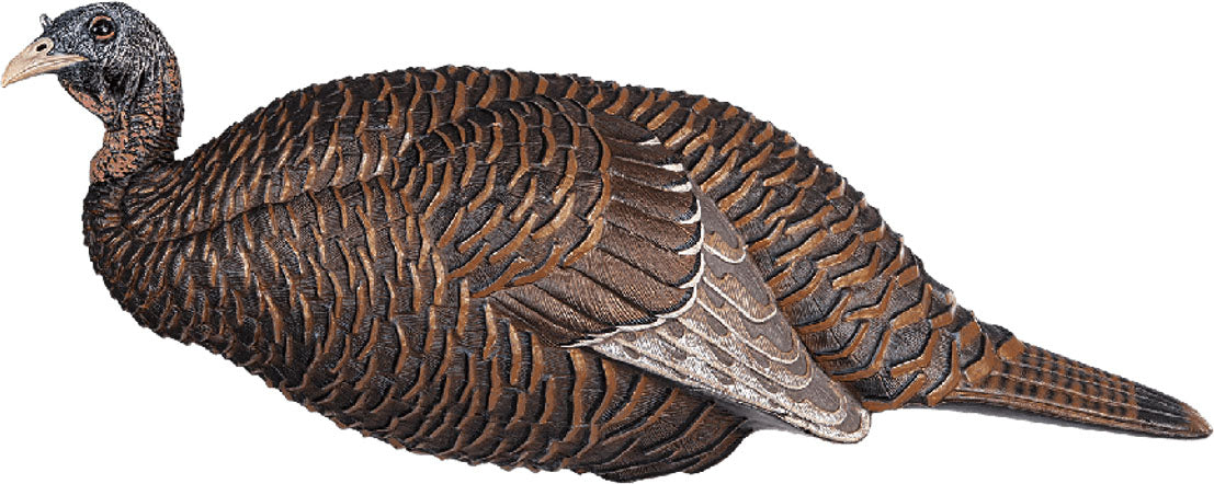 Thunder Chick Breeder Turkey Decoy