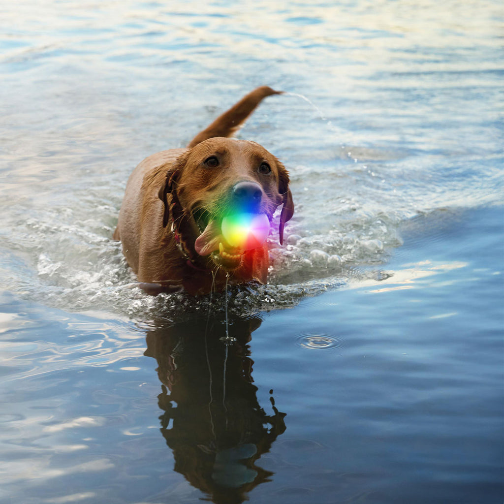 GlowStreak Dog Light Ball