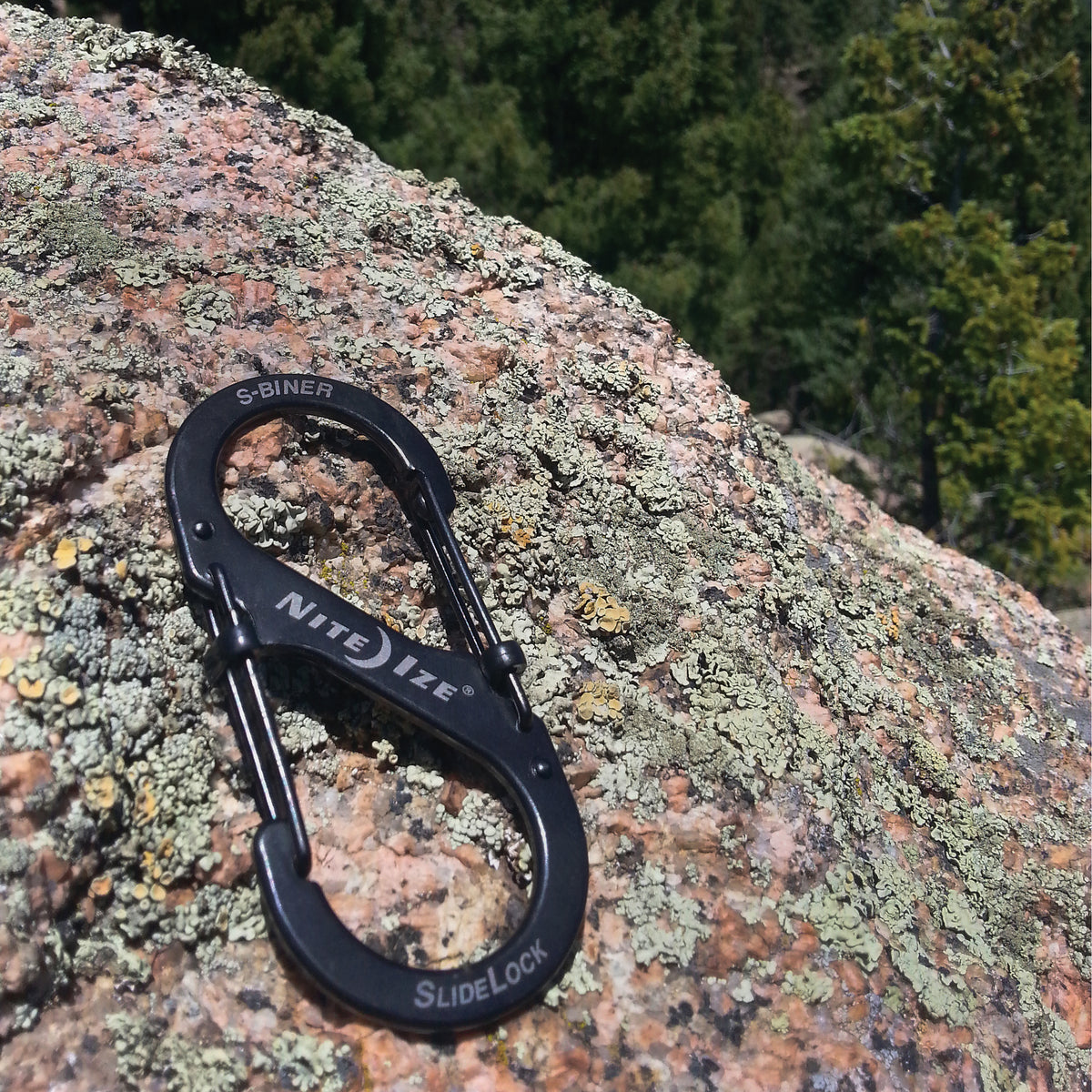 S-Biner SlideLock #4 Carabiner 