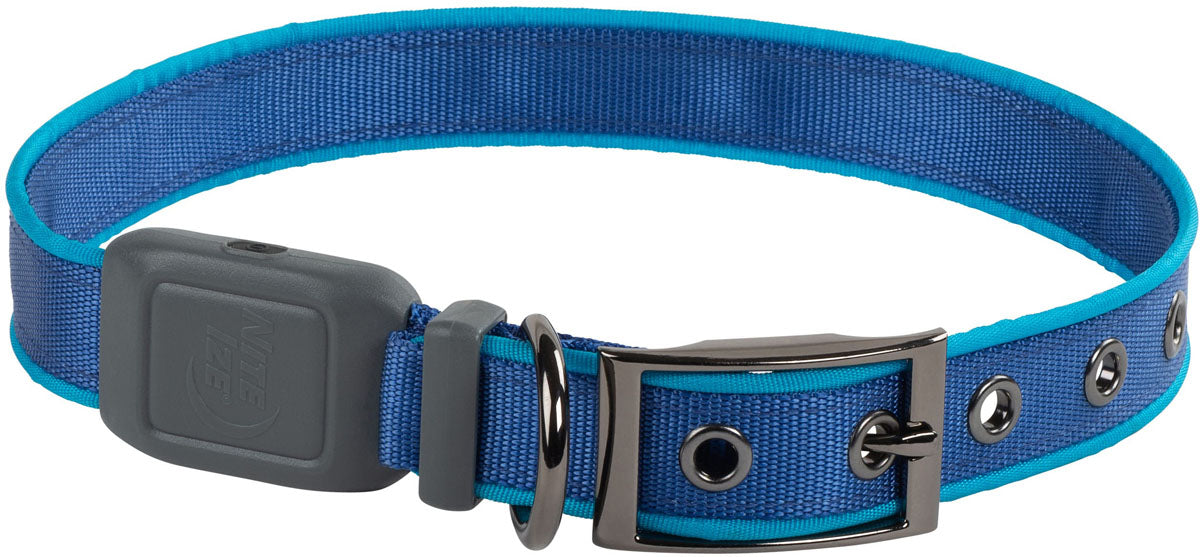 NiteDog Dog Light Collar - Large