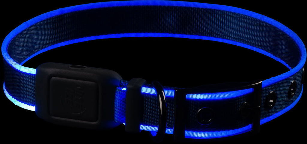NiteDog Dog Light Collar - Large
