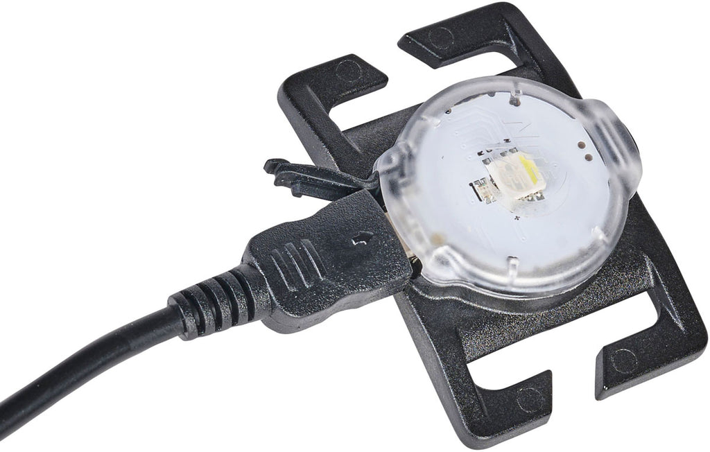 NiteDog Dog Light