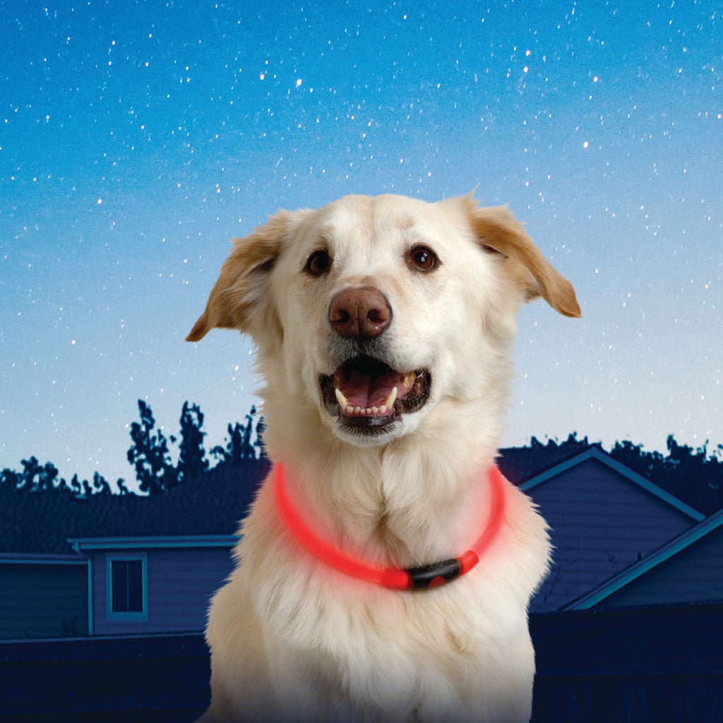 NiteHowl LED Safety Necklace