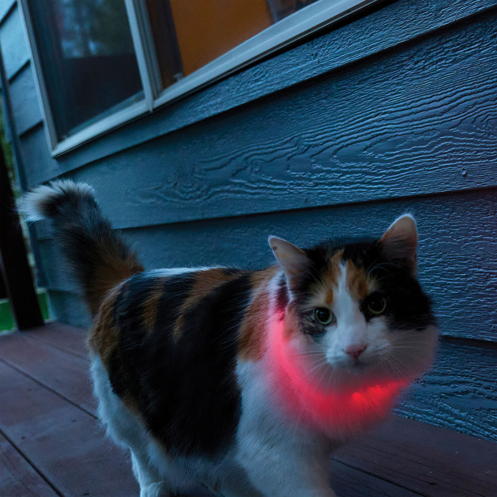 NiteMeow Cat Light Necklace