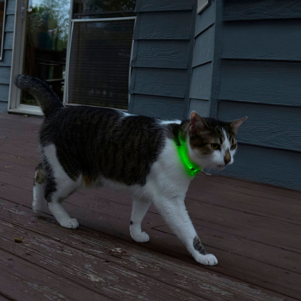 NiteMeow Cat Light Necklace