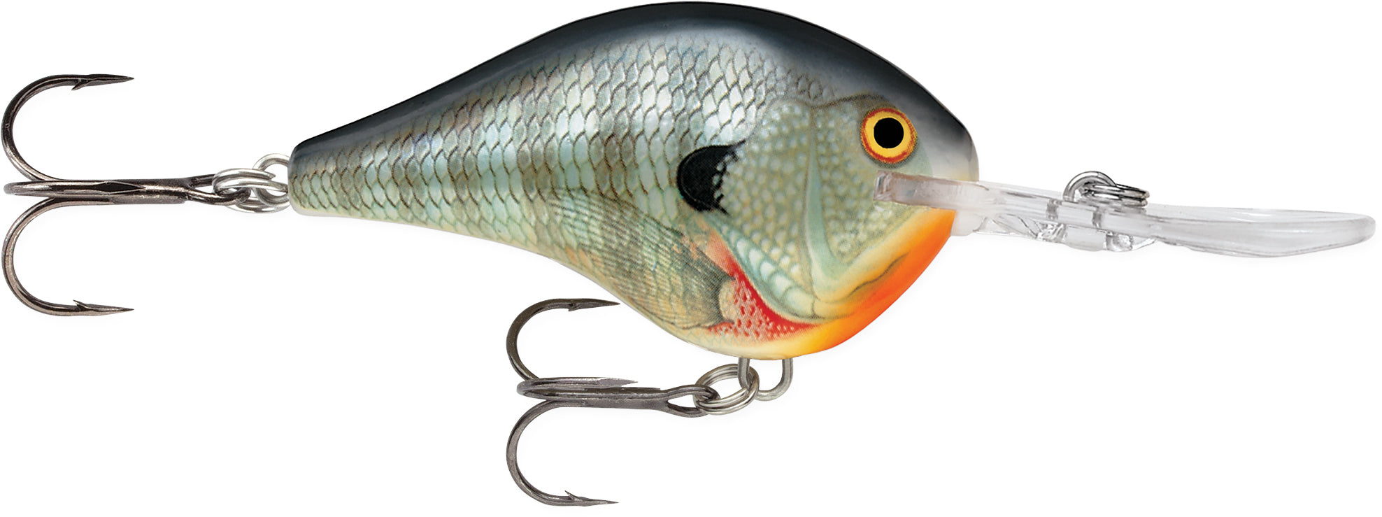 Dives-To Hard Bait
