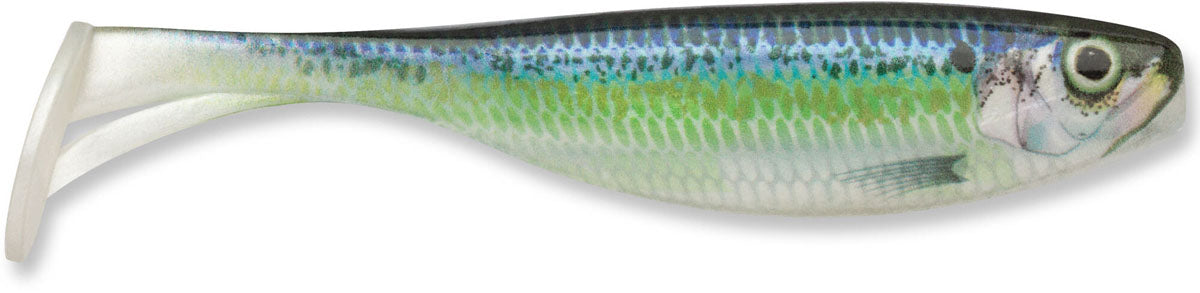 Largo Shad Soft Bait
