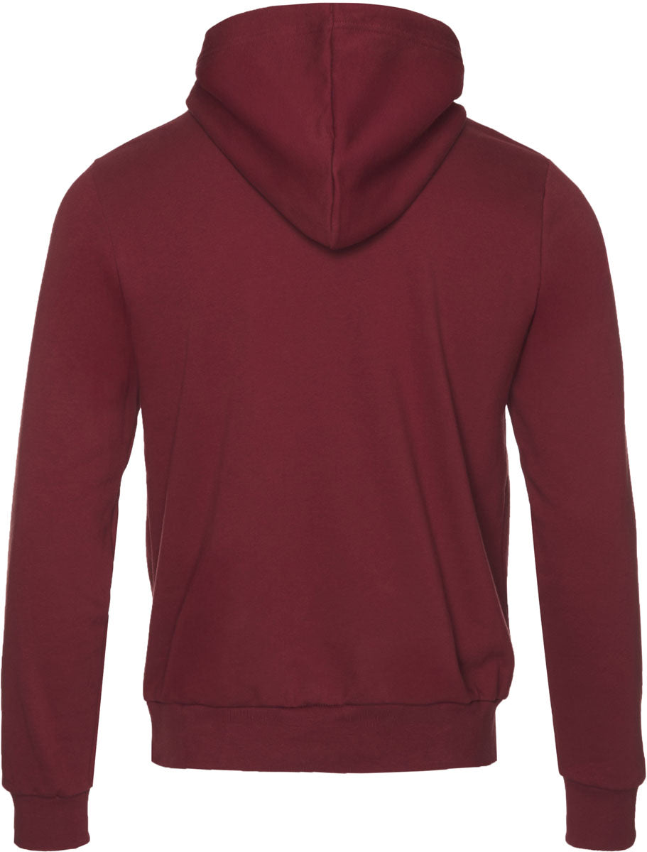 Evolution Bear Pullover Hoodie - Men's