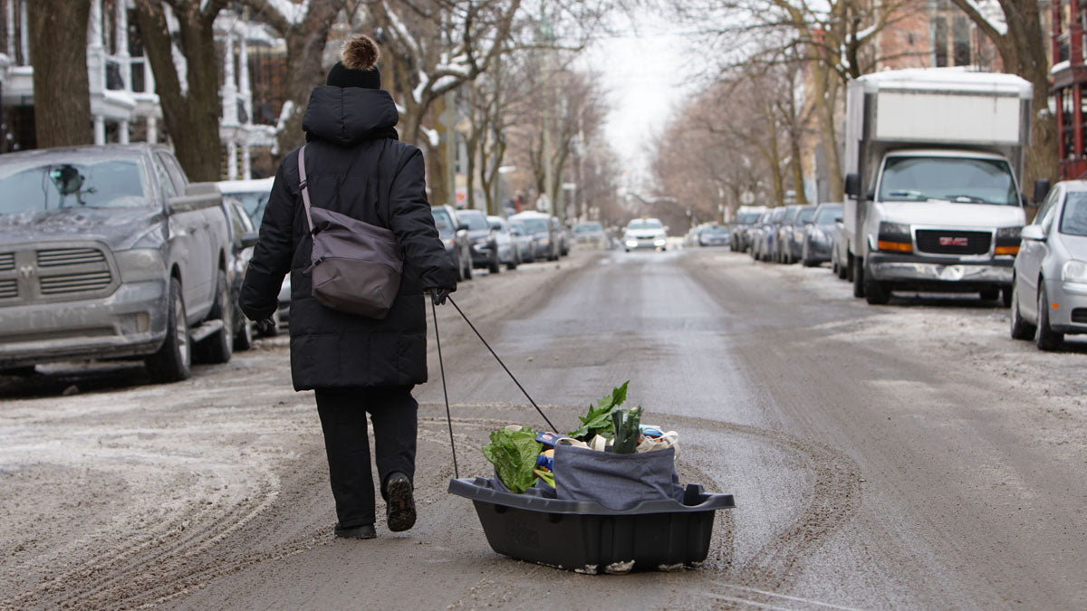 Snowtrek 45 Utility Sled