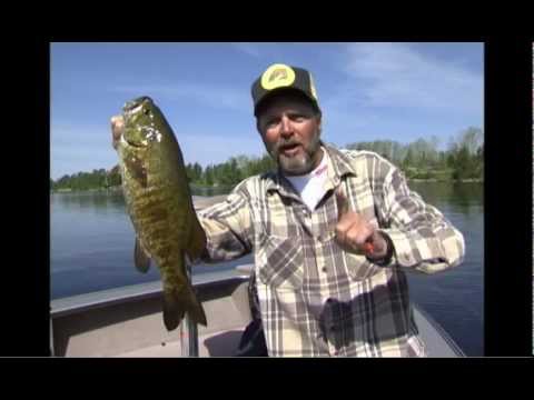 Skitter Pop Saltwater Topwater Lure
