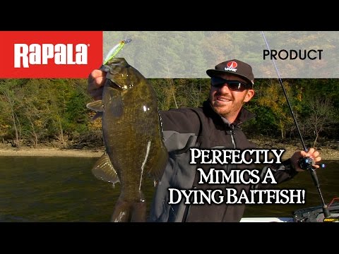 Shadow Rap 11 Hard Bait