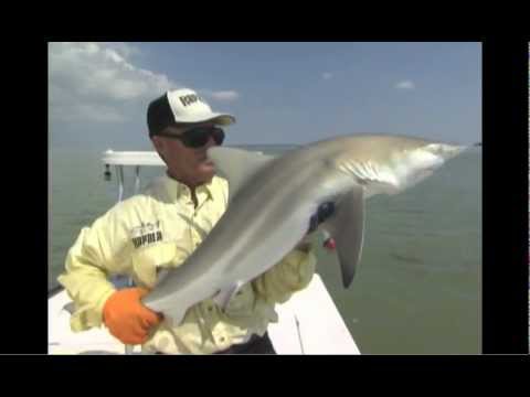 Countdown Magnum Hard Bait