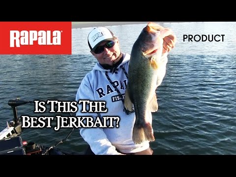 Shadow Rap Shad 09 3-1/2 in. Hard Bait