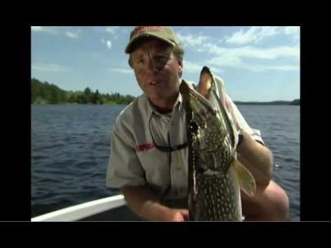 Down Deep Husky Jerkbait
