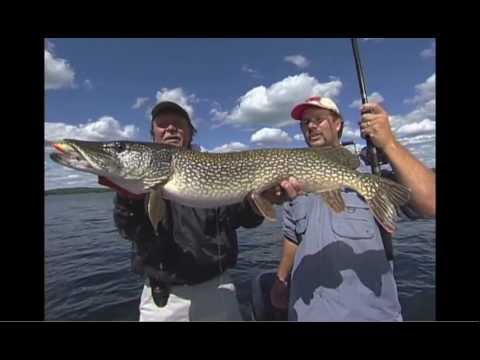 Deep Tail Dancer Hard Bait